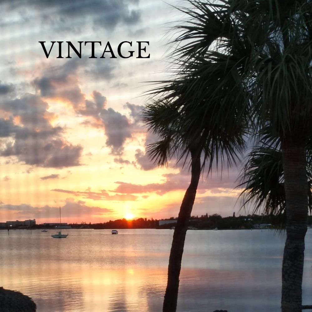 V VINTAGE CLOTHES & ACCESSORIES I'VE COLLECTED SINCE 1970